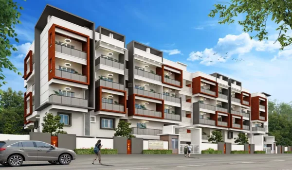 Featured Image of Chokkanahalli Bangalore Famous For